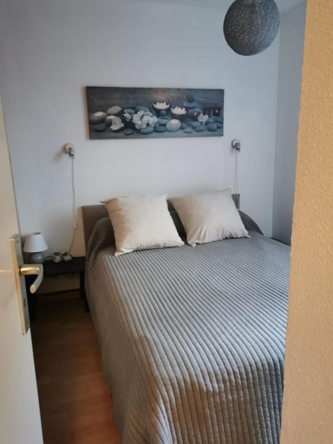 Beau T3 Place Parking, Vue Degagee Proche Centre Bagnères-de-Luchon Eksteriør bilde